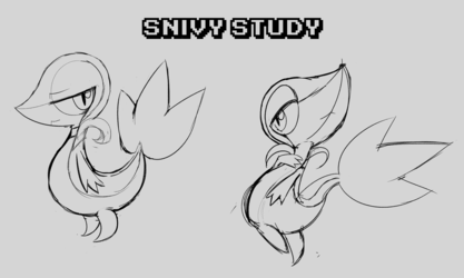 Snivy Study