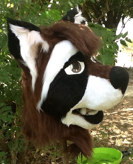 Raccoon .:head commission side faced:.