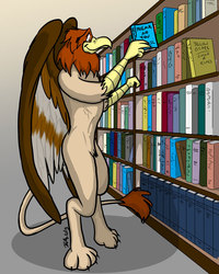 C Eagle Commission-- Bibliophile Griffon