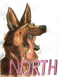 NorthShepherd Badge