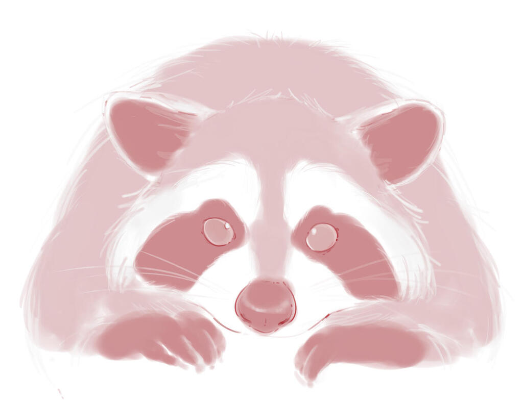 Monochromatic  Raccoon 