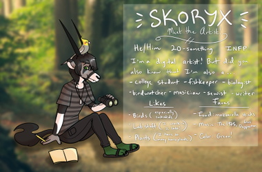 Meet the artist: Skoryx!
