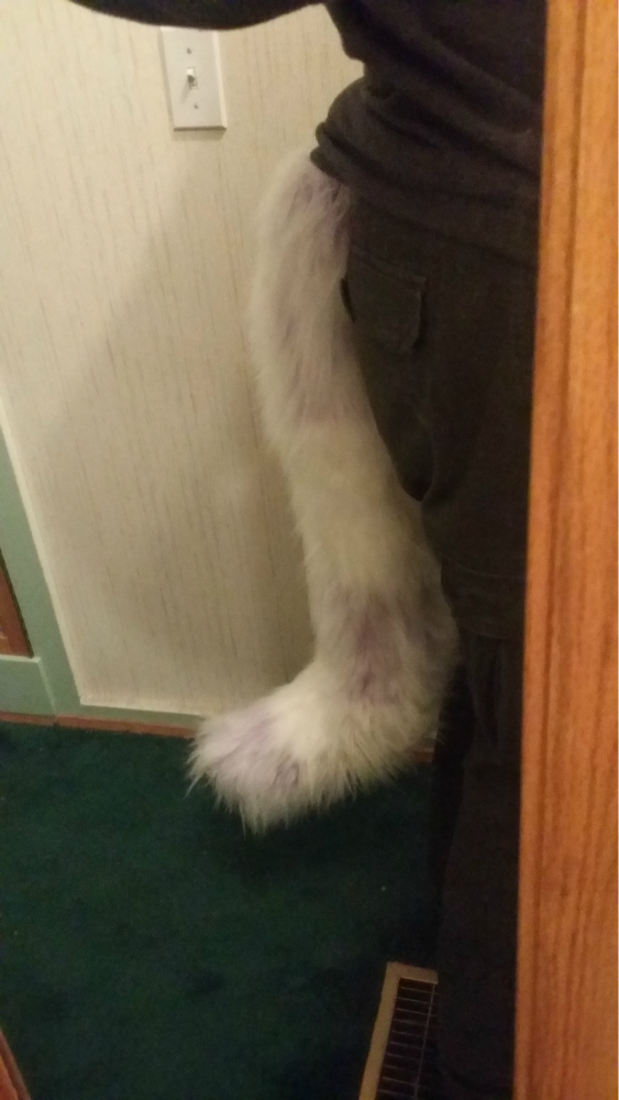 Lavender and white kitty tail