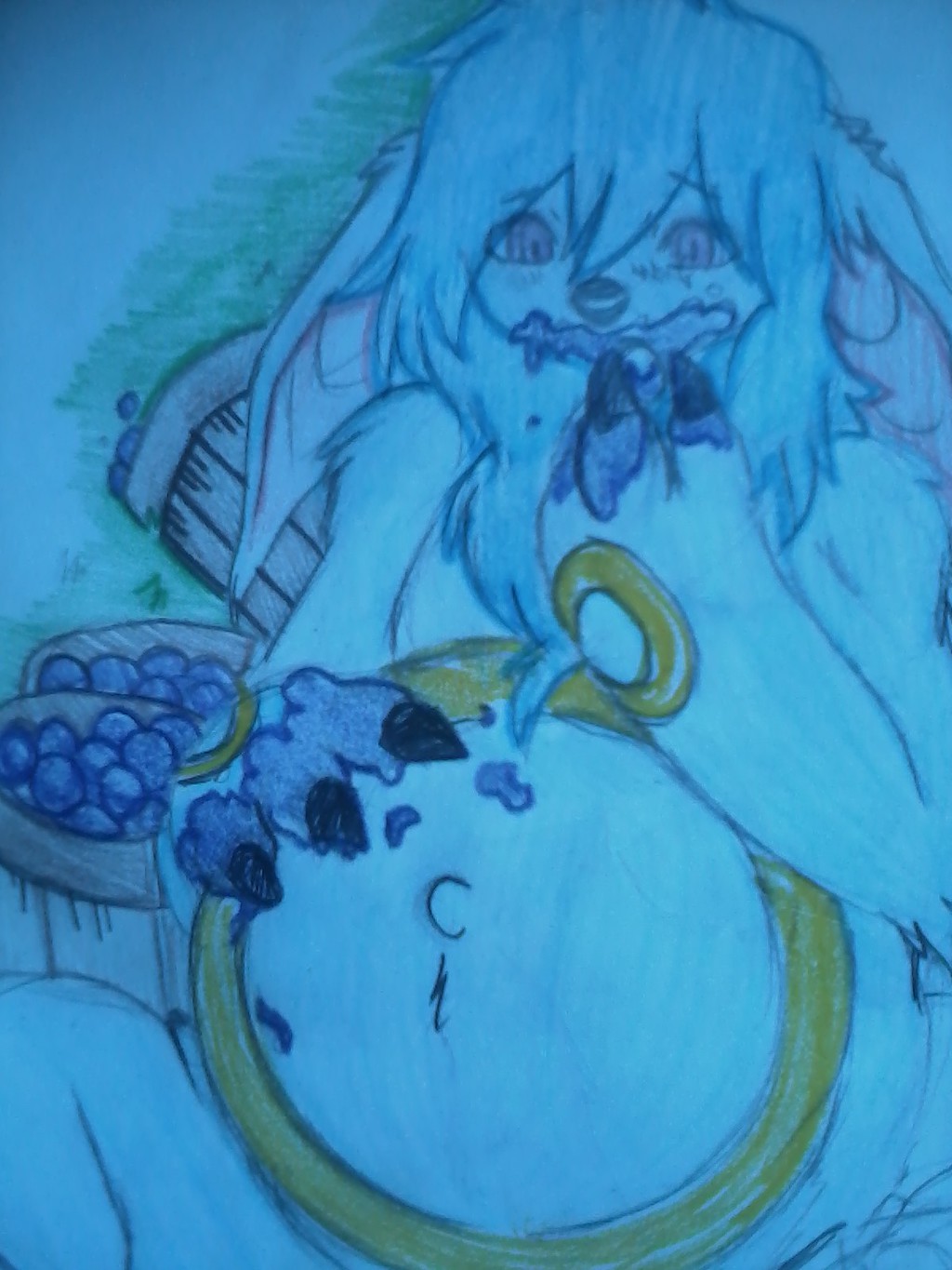 blueberry snack