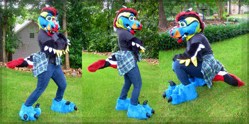 Feathered Raptor Partial -commission-