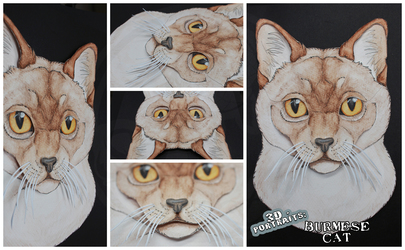 3D - Portraits: Burmese cat