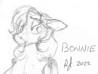 Bonnie Head Sketch