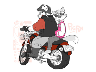 Put your helment on pup