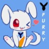 avatar of Y-Furry