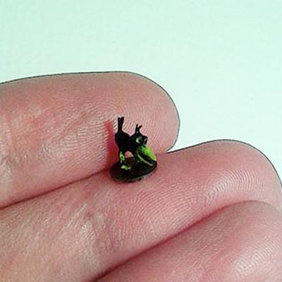 Most recent image: Tiny crow