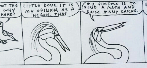 Bird Brains page 2