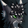 avatar of BlackAce