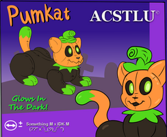 Pumkat inflatable toy