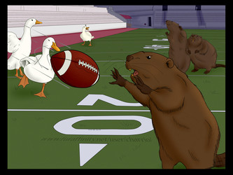 Beavers VS Ducks