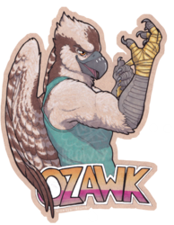 Ozawk Badge 2016