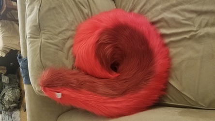 Flare's Tail, Finished! 1/5