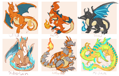 Charizard Breeds (unfinished)