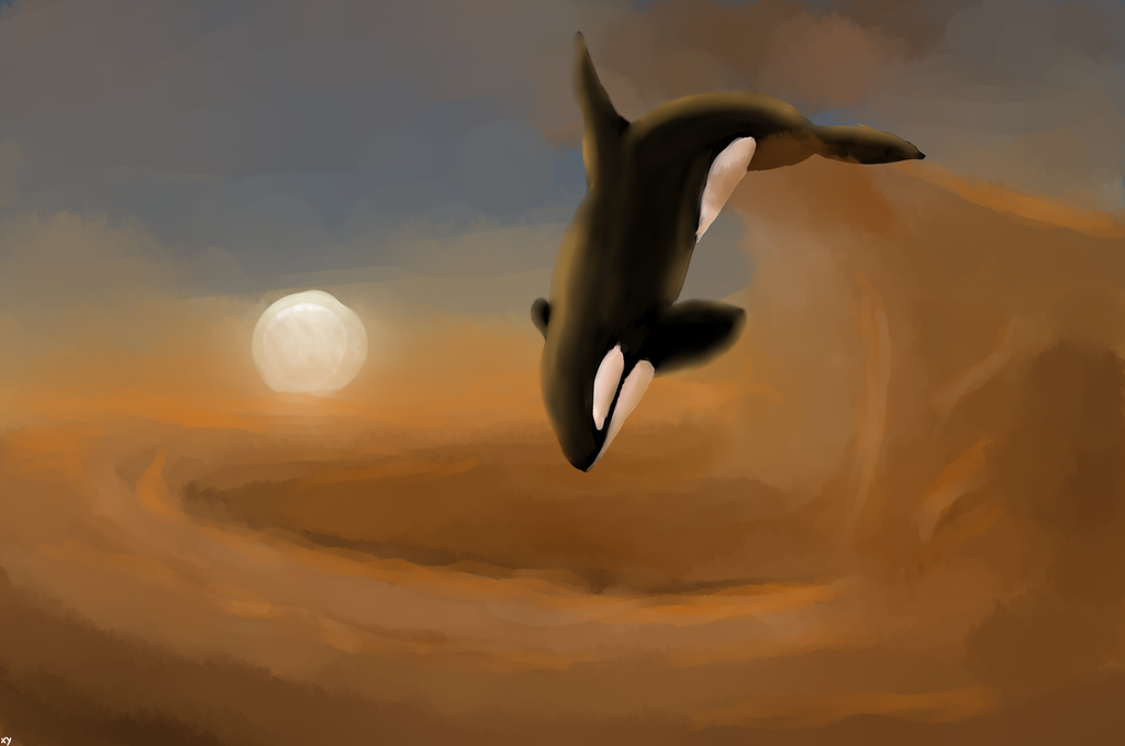 Most recent image: sky whale
