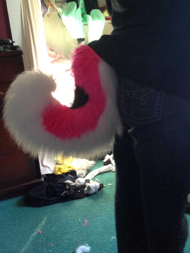 Most recent image: Hearts Husky Tail