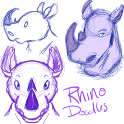 Rhino Doodles