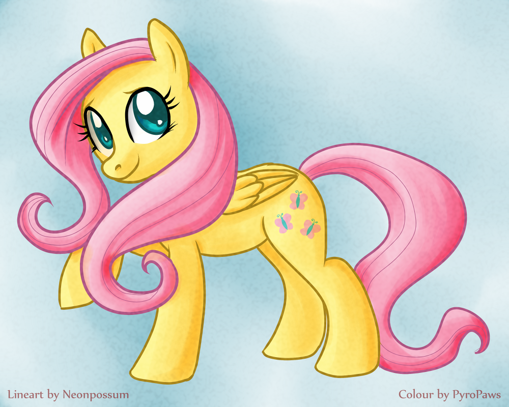 Collab: Fluttershy