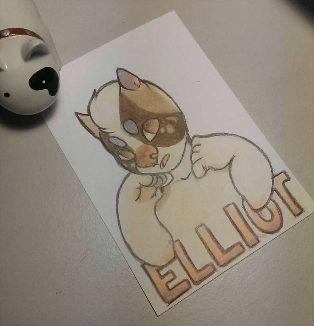 20150102 Elliotbadge [gift]