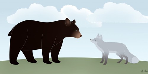 Bear and fox luff