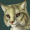 avatar of KitaBobcat