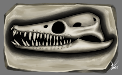 Plesiosaur Skull