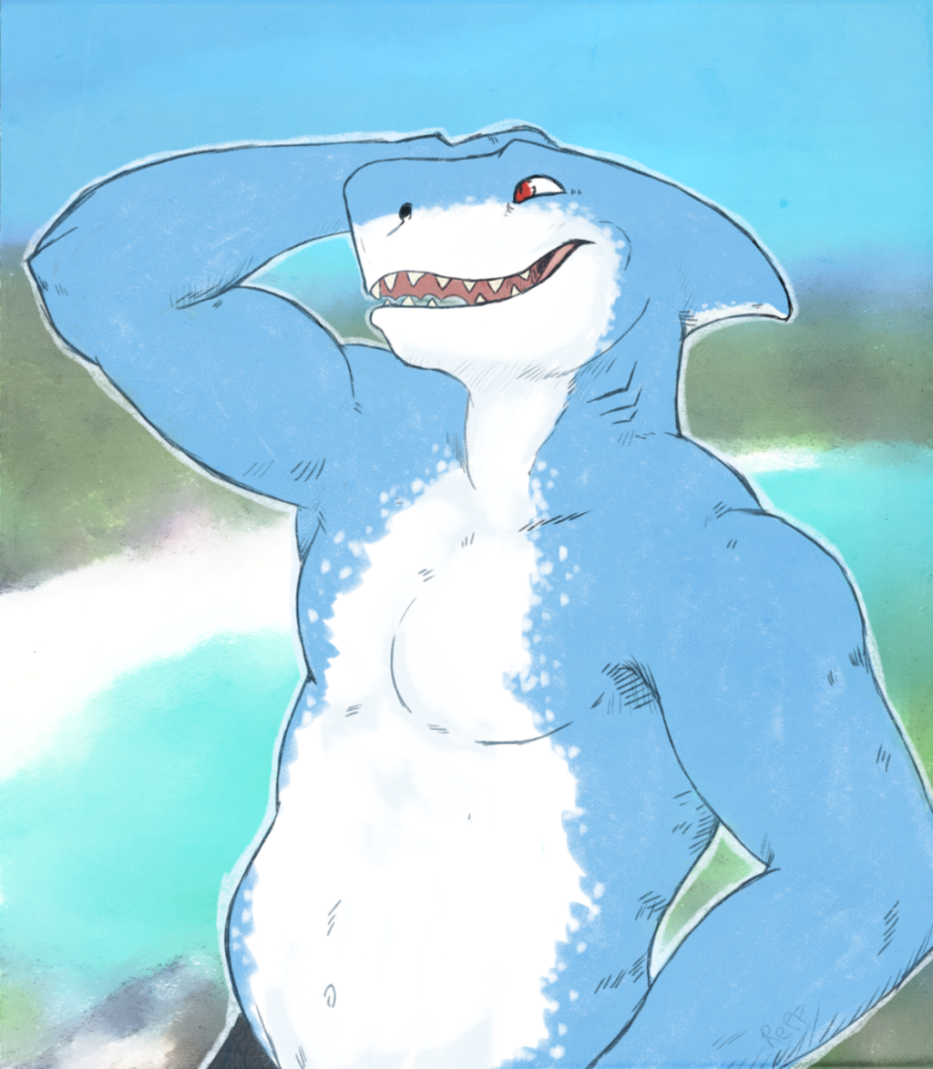Shark commission