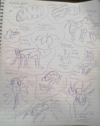 Creature doodles finale