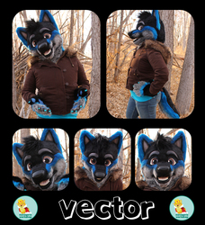 Vector Wolf