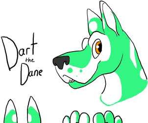Dart the Dane