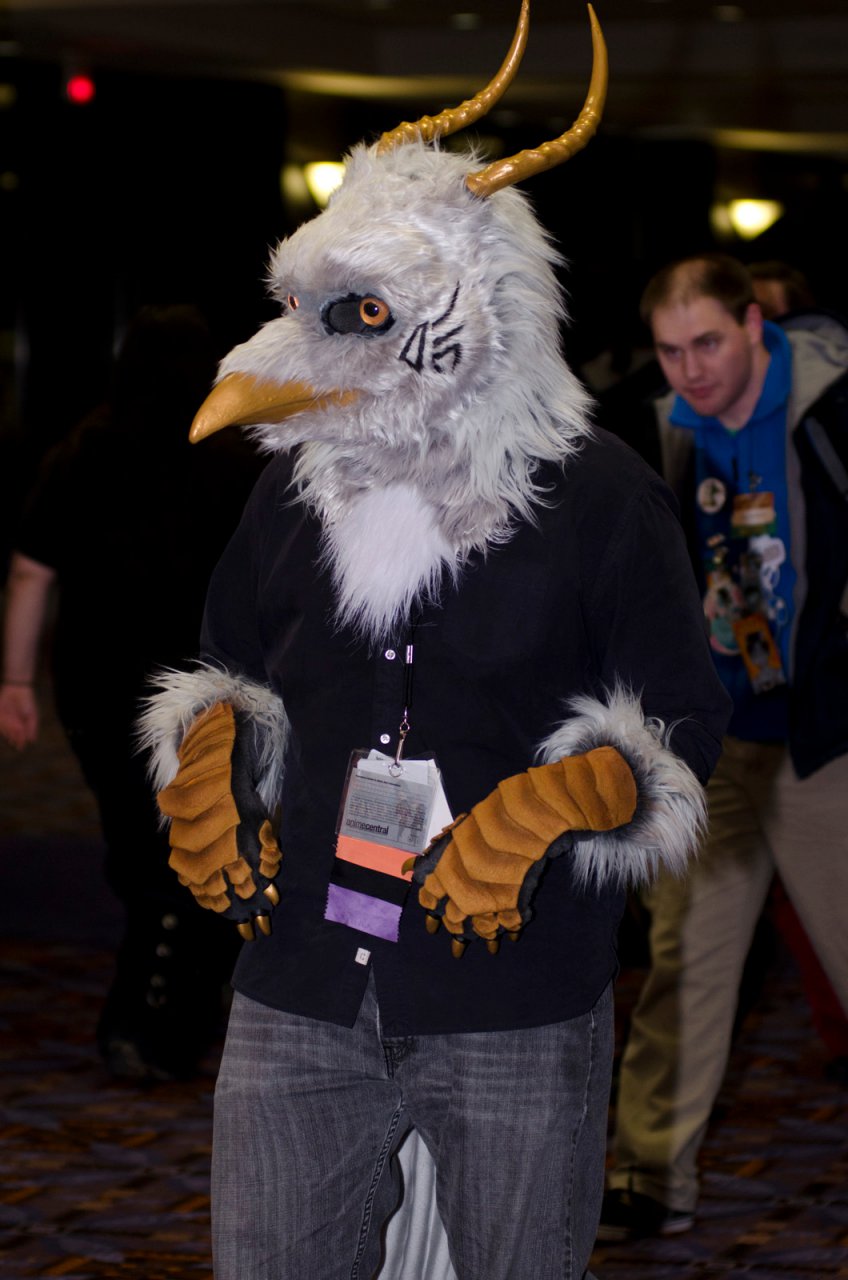 Most recent image: Burnide at MFF2013!