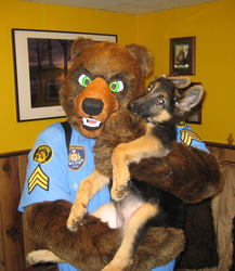 Sergeant Bear and the Rookie