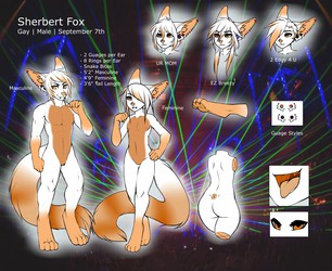 Sherbert Fox Ref - Clean