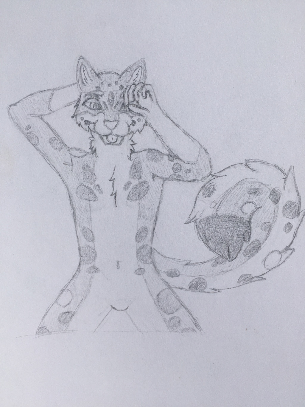 Traditional Snow Leopard Pinup