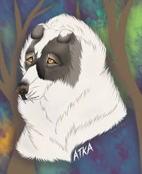 Atka's Portrait