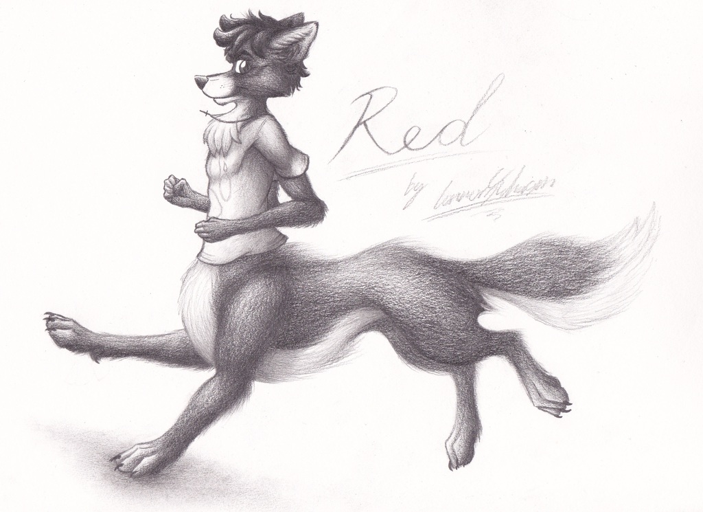 Red's WolfTaur Run