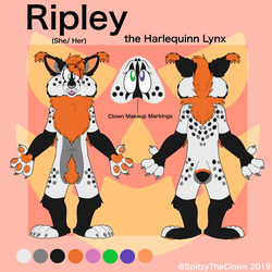 Ripley the Harlequin Lynx Reference Sheet