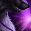 avatar of Dark Violet