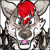 avatar of Shakou The Wolf