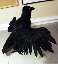 Marlowe's crow