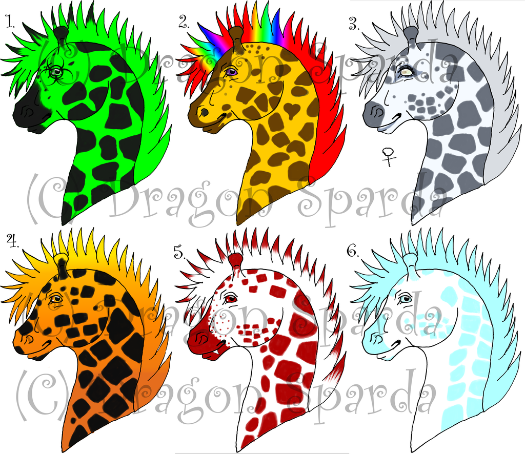 Giraffes!!! adoption bid