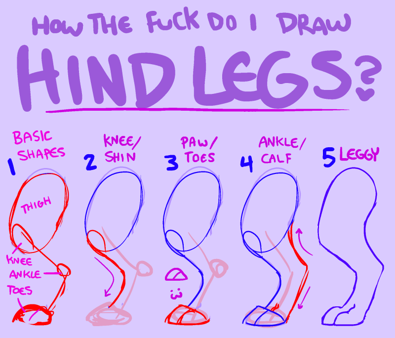 hind leg tutorial