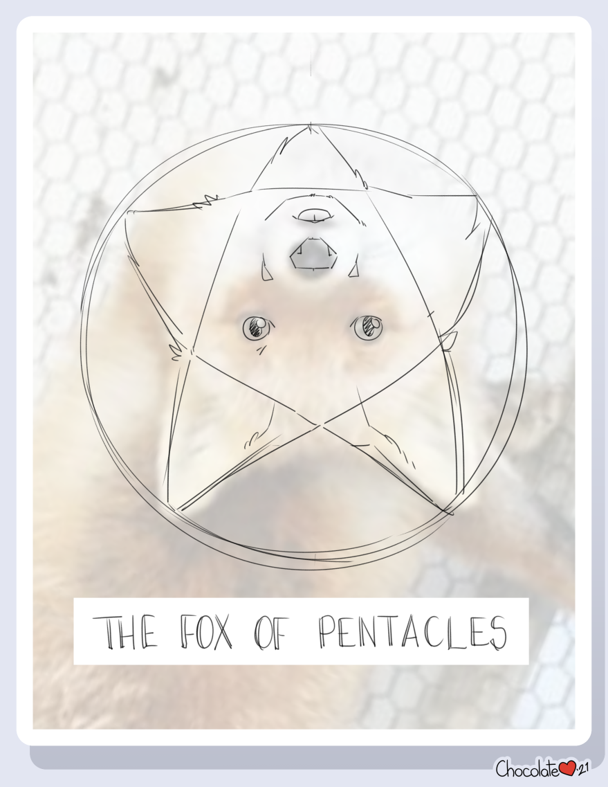 The Fox of Pentacles