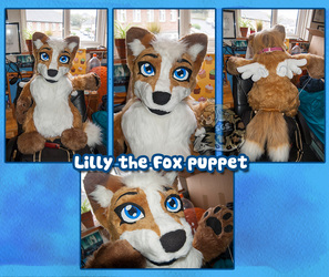 Lilly the puppet { 2013 } 