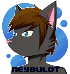 Neybulot Headshot (Gift art)