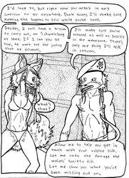 Outfoxing the 5-0 (Page 48)