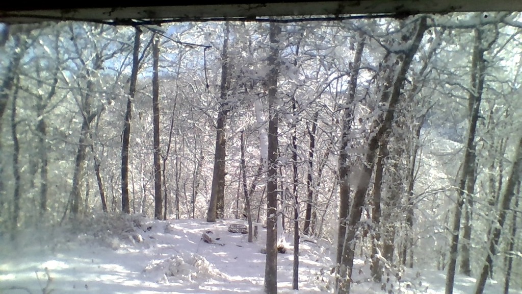 My backyard when it snows 